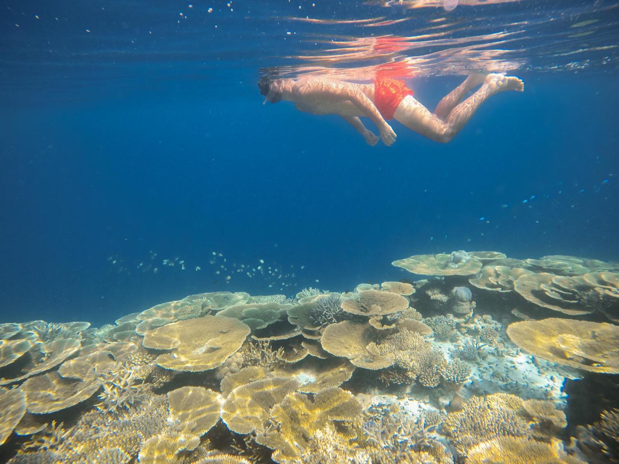 Ostrov Beach Ukulhas Eksteriør bilde